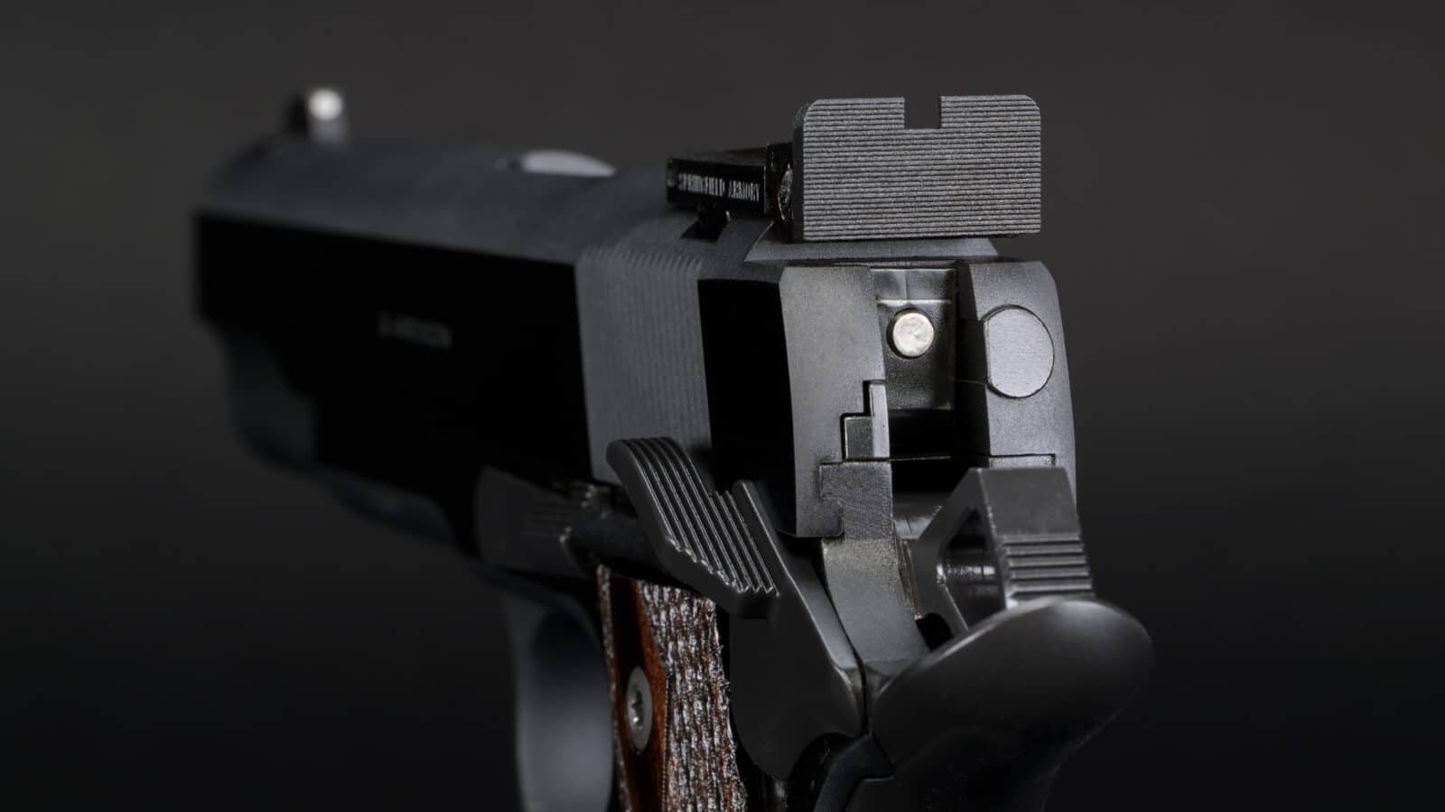 Garrison Target rear sight