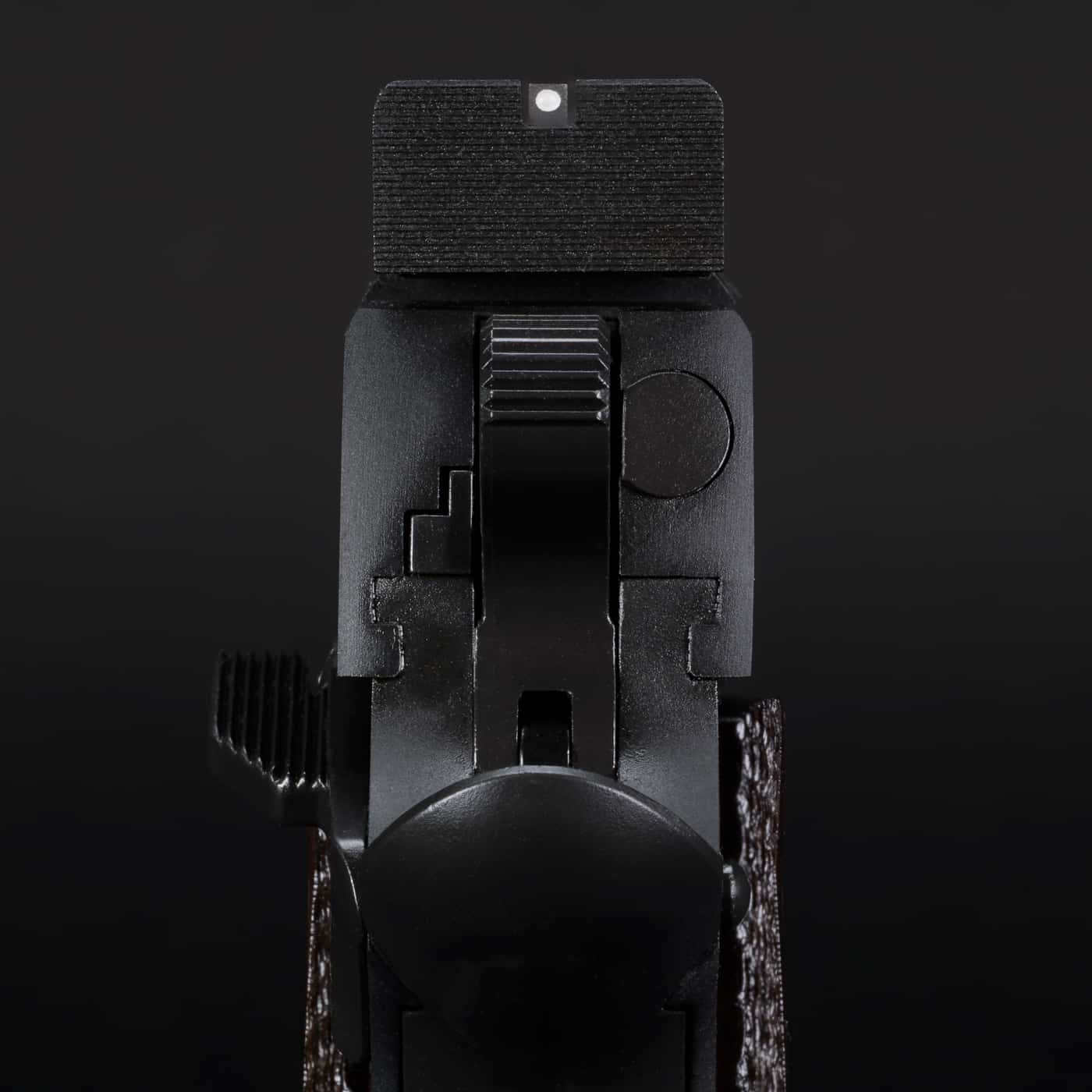 sight picture of Springfield 1911 Garrison Target