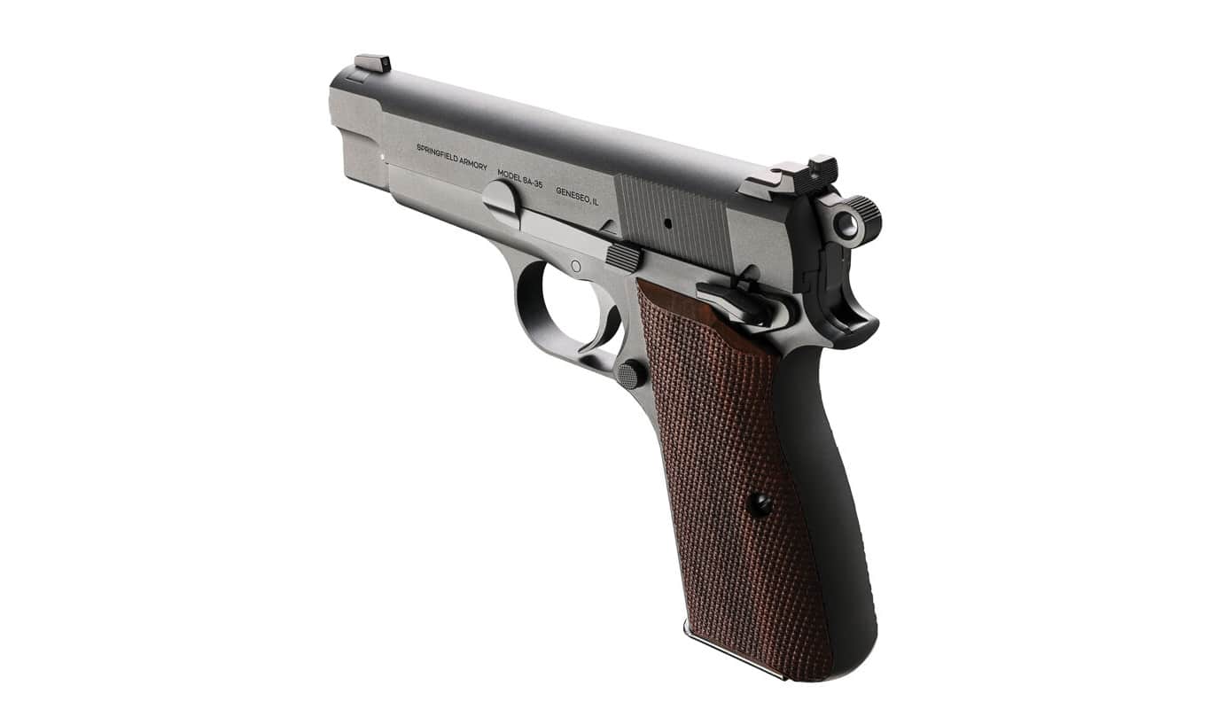 sights of the SA-35 Compact as seen from the rear of the gun