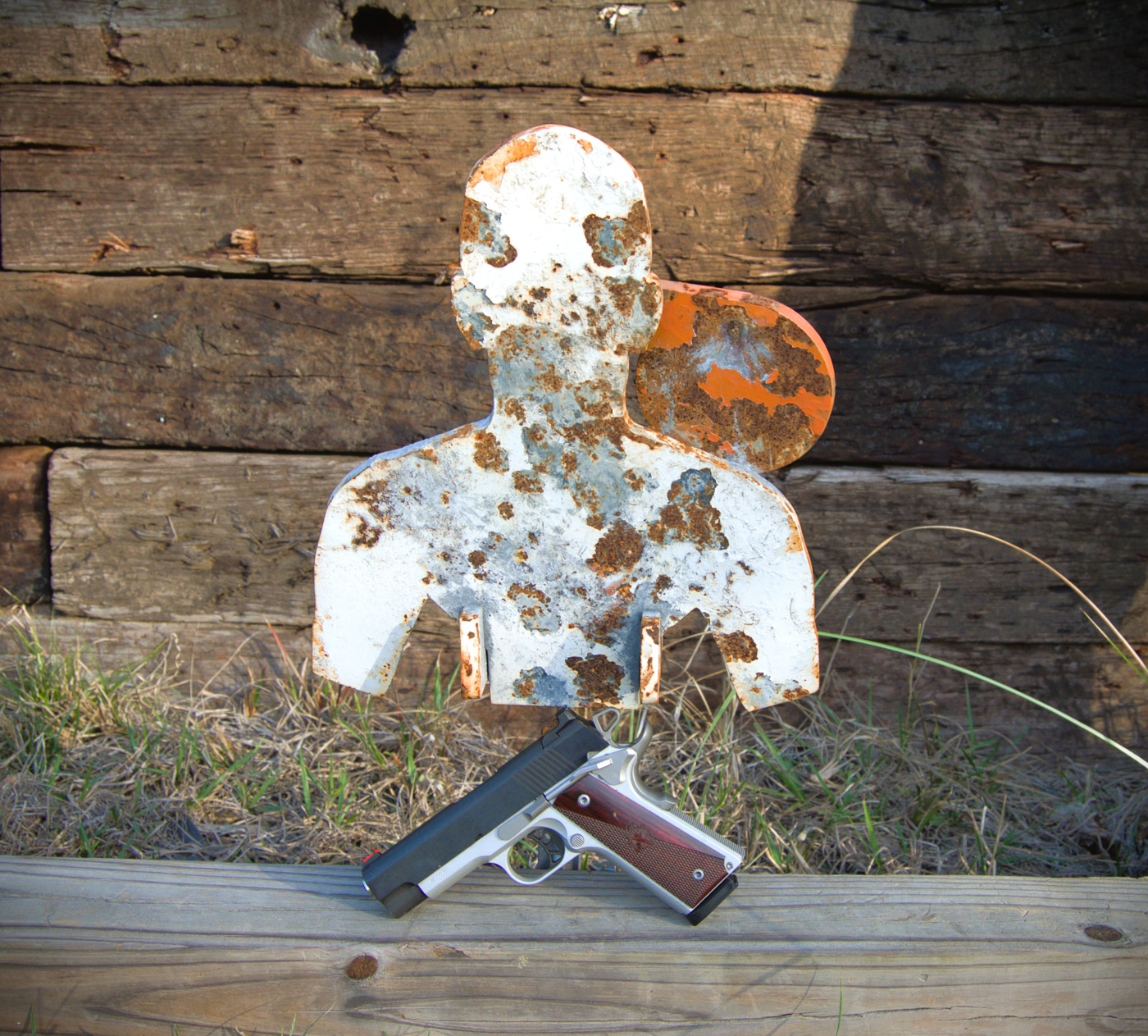 Ronin EMP with steel target used for testing on the shooting range