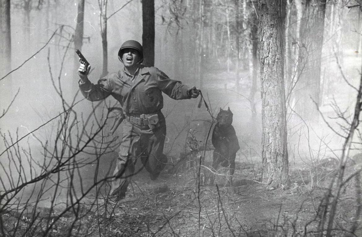 USMC K9 handler carrying a M1911 with his war dog