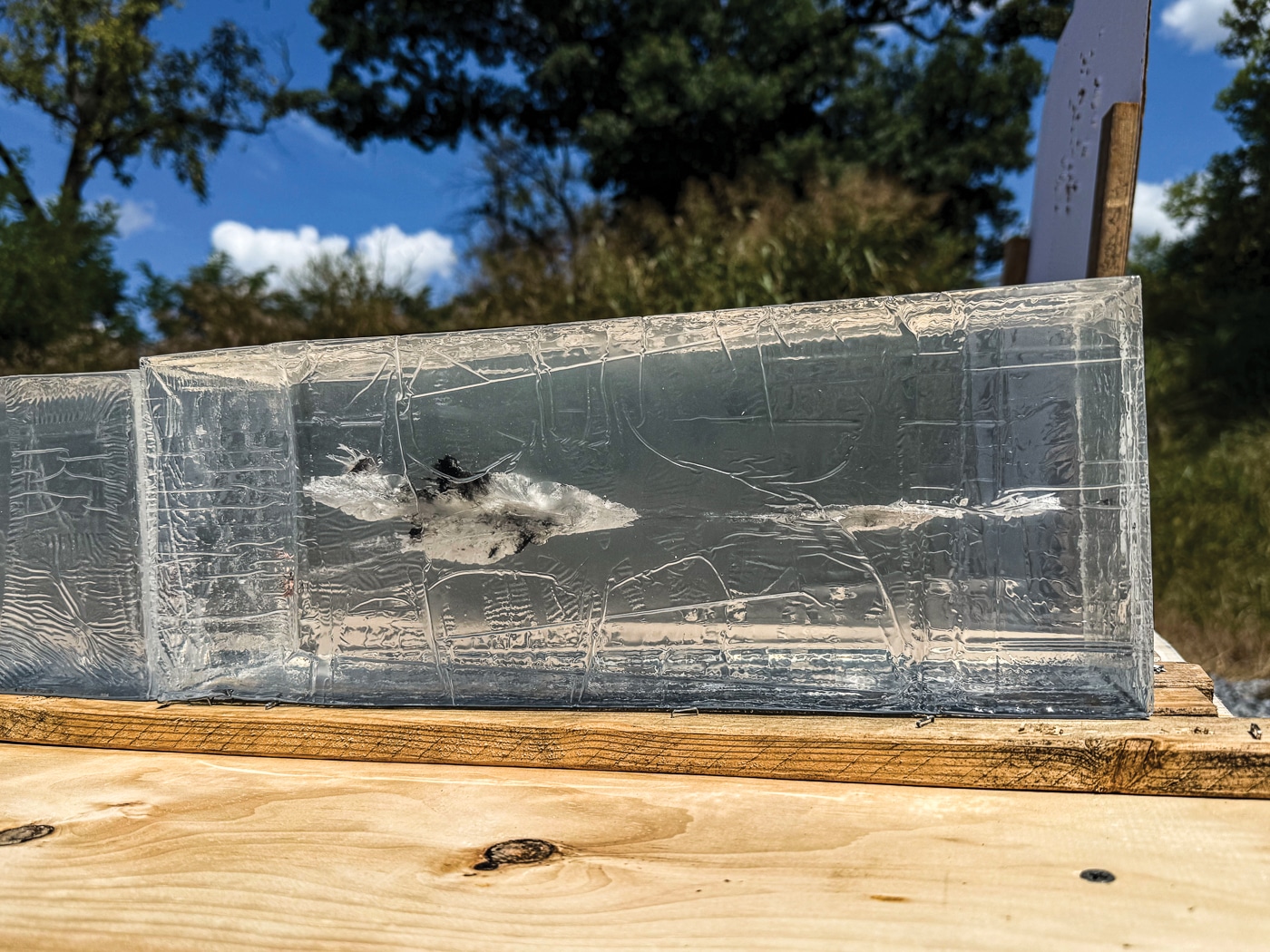ammunition testing in ballistic gel