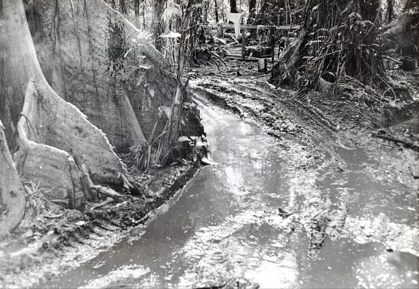 flooding mud and jungle made the fighting more difficult on Guadalcanal