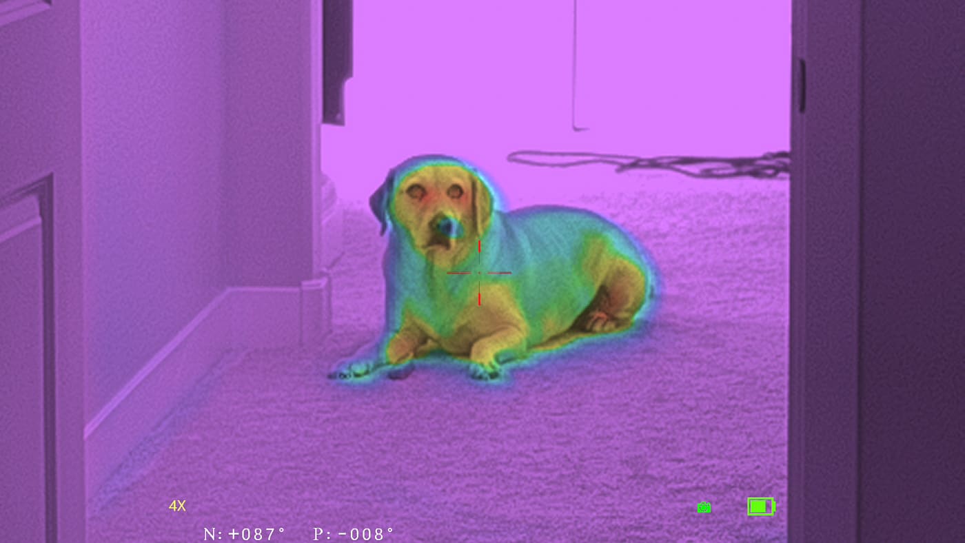 image of dog using the Shinenyx M1 Pro Fusion Monocular during testing